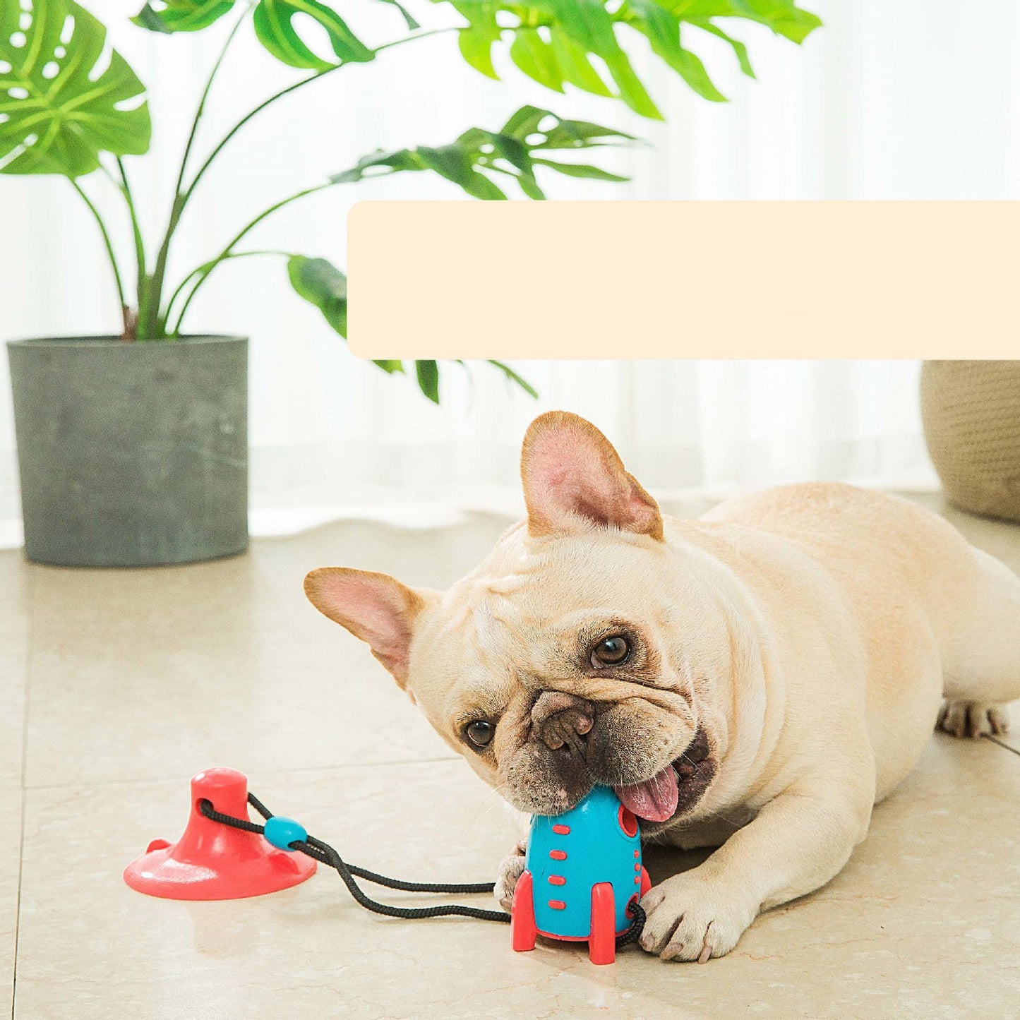 Bite-Resistant Leaking Food Rocket Toy