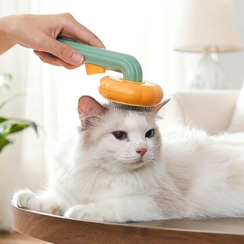Pumpkin Type Cat And Dog Needle Comb