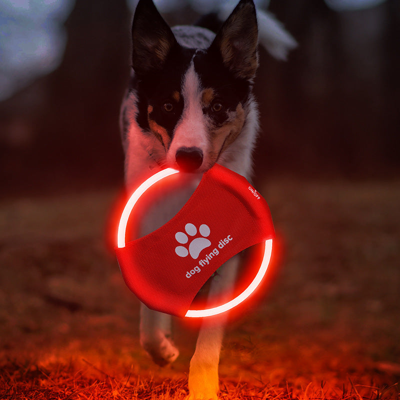 Glowing LED Luminous Flying Discs